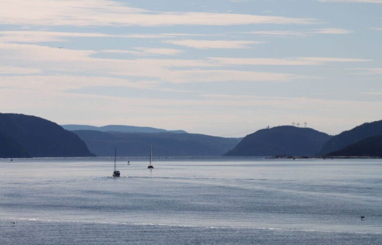 Scientists to analyze plastics in Saguenay-St. Lawrence Marine Park