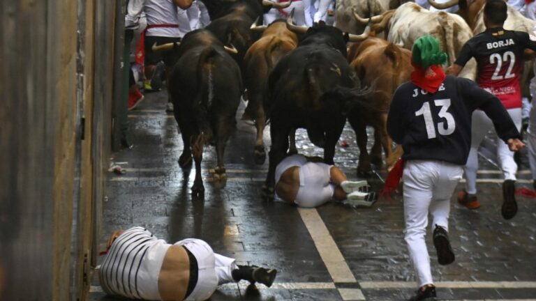 Six people injured in bull run in Spain