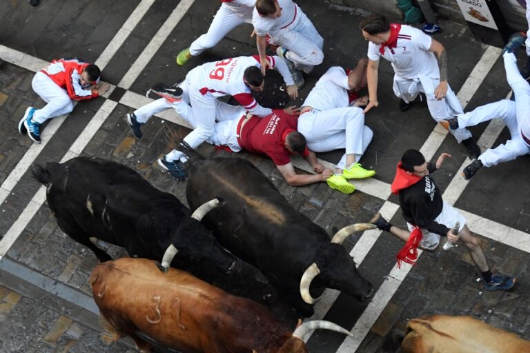 Spain | Six injured in first bull run in Pamplona