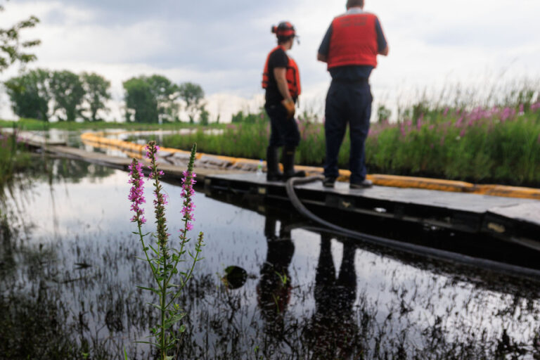 Spill in Pointe-aux-Trembles | The origin of the pollution has still not been identified