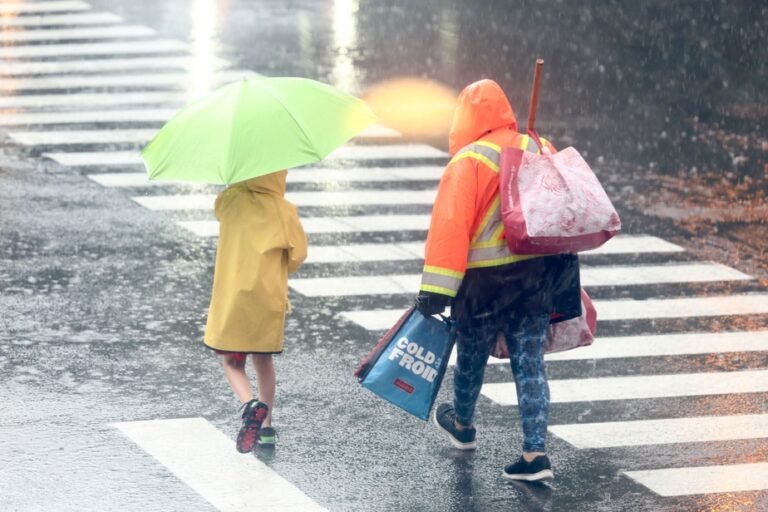 Storm Beryl | Several roads closed in Montreal