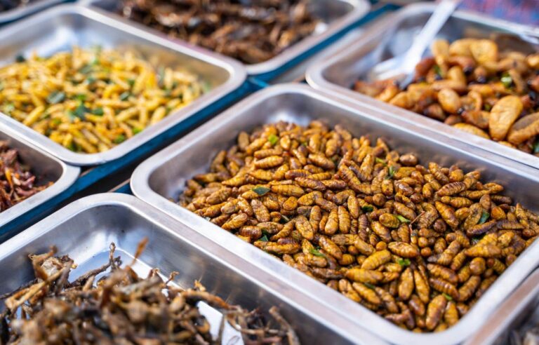 Sustainable animal production, insects should have a place at our table