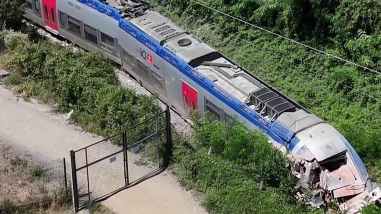 TER derails, five injured