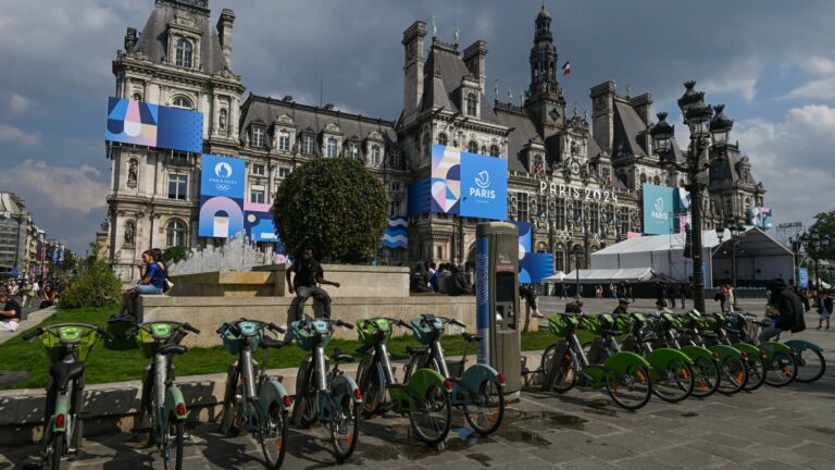 TRUE OR FALSE. Did Paris City Hall cut down trees along the Seine in preparation for the 2024 Olympics?