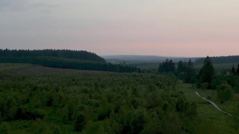 The High Fens, a taste of Scotland and wild nature