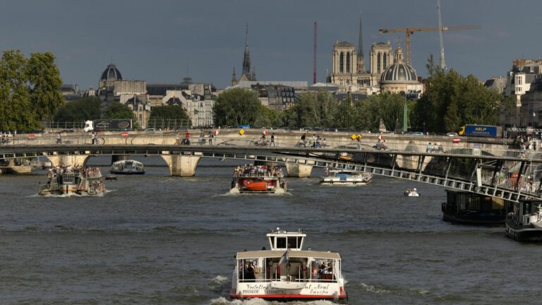 The Minister of Sports’ swim “shows that the Seine is swimmable”, insists Pierre Rabadan, deputy mayor