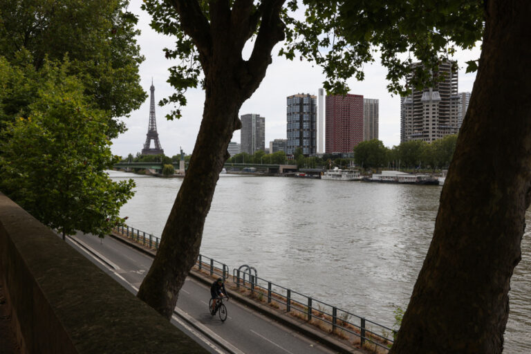 The Seine will be swimmable for 10 or 11 days out of the last 12, according to the organizers