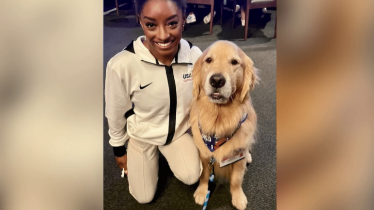 Therapy dogs alongside American athletes