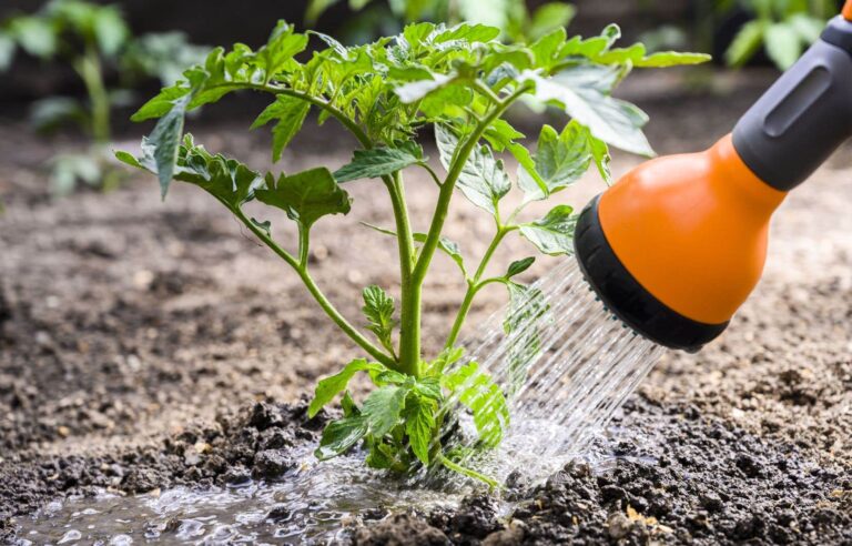 To water flowers and vegetable gardens less