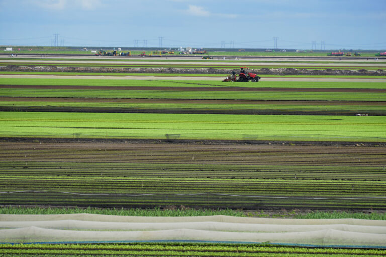 United States | More and more “forever pollutants” in pesticides