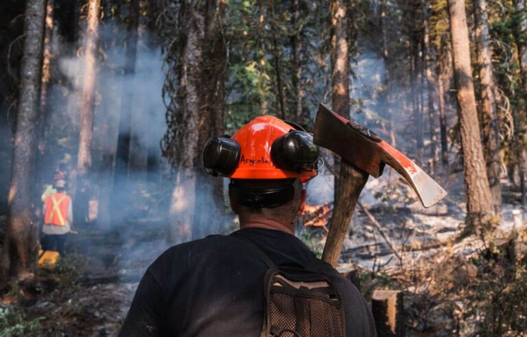 Volunteers defended the town of Argenta against the flames themselves