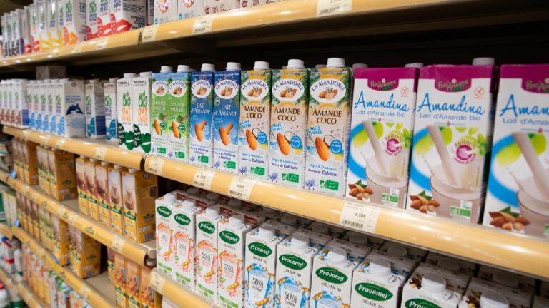 WHO warns of overconsumption of milk and plant products