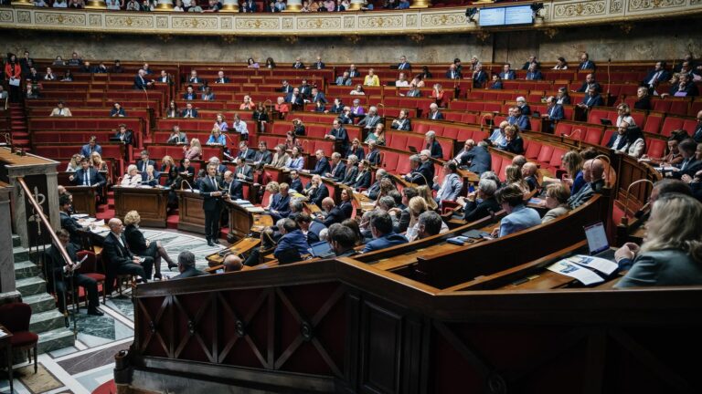 Who are the presidents of the parliamentary groups in the National Assembly?