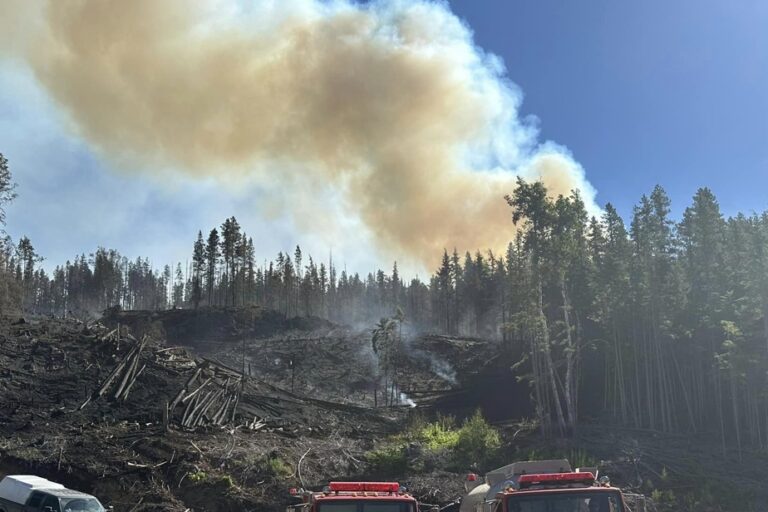 Wildfires intensify in central British Columbia