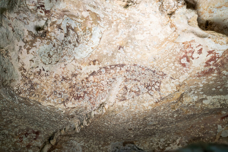 World’s oldest painting discovered in Indonesia