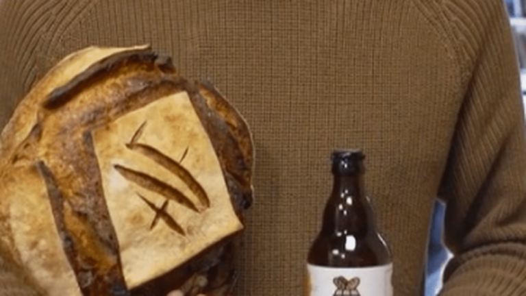 anti-waste beer made from bread crumbs