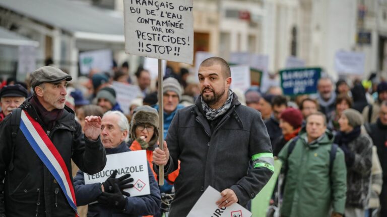 pesticides detected in the air of the center of La Rochelle