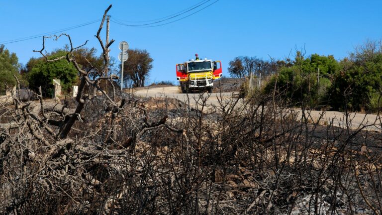 140 firefighters from the Occitanie region are mobilized for the Frontignan fire