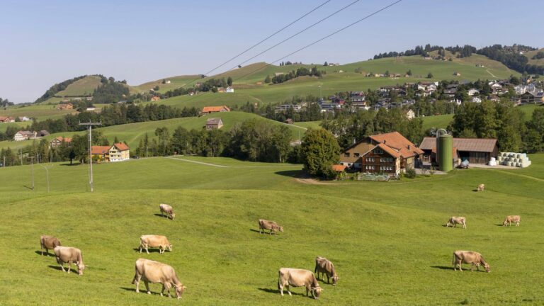 A Swiss association offers to support breeders who no longer want to exploit animals