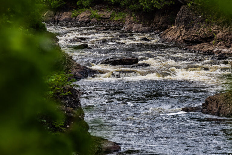 Annual migrations below average | Quebec introduces new restrictions on Atlantic salmon fishing