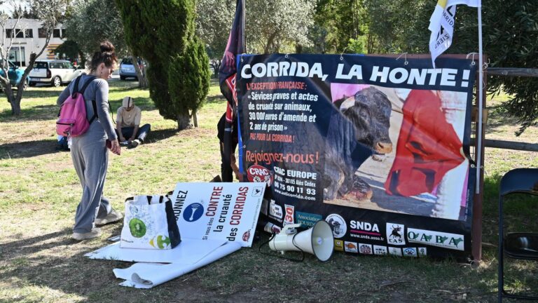 Anti-bullfighting demonstration: it’s “not a question of taste, it’s a question of ethics”, explains the president of the Colbac association