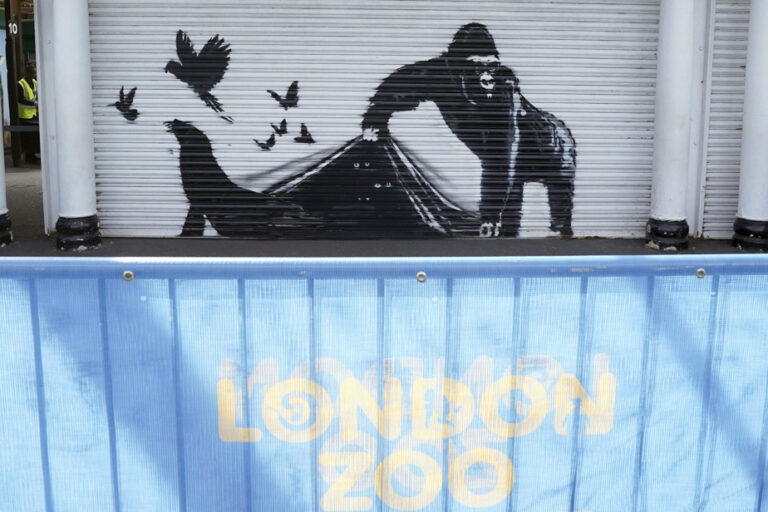 Banksy unveils graffiti at London Zoo, the end of an intriguing series