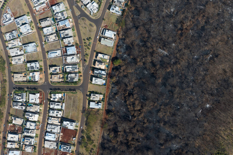 Brazil | Forest fires extinguished in São Paulo state