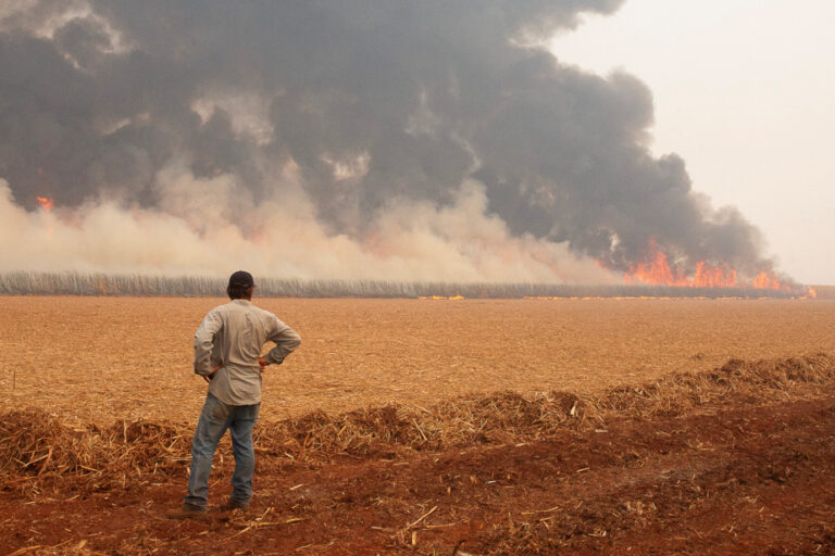 Brazil | Military aircraft deployed to fight forest fires in São Paulo state