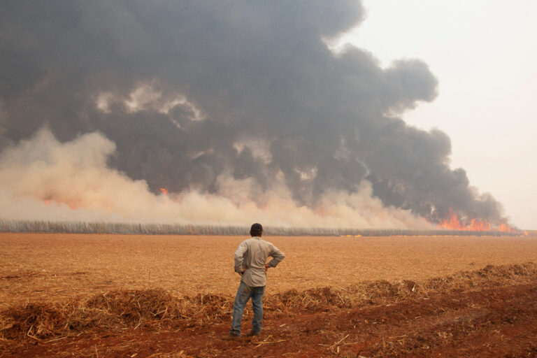 Brazil | The country ‘at war against fires and crime’