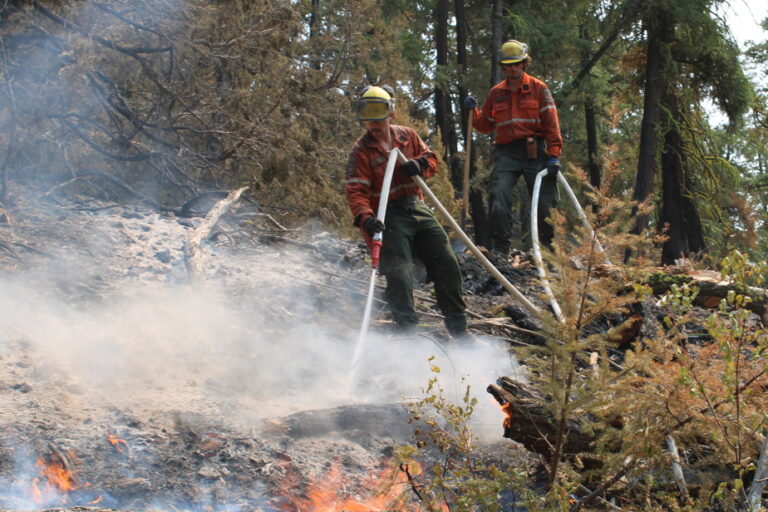 British Columbia | Premier calls for reforms to BC Wildfire Service