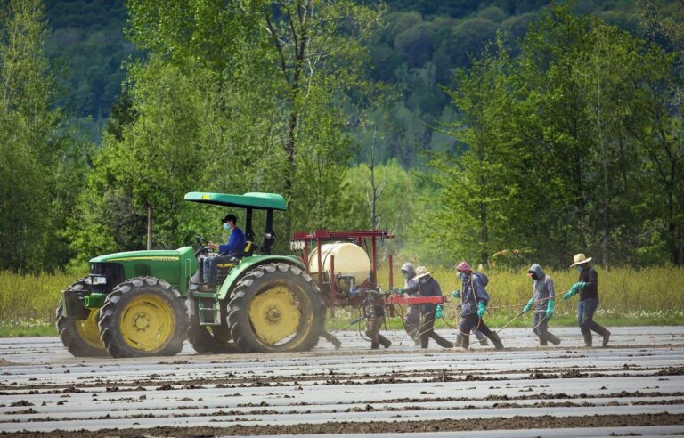 Canada, “fertile ground” for modern slavery: UN rapporteur persists and signs