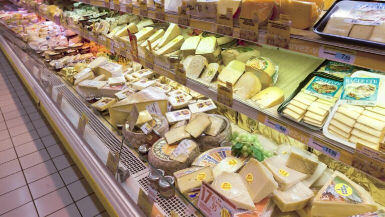 China launches anti-dumping investigation into dairy products imported from EU