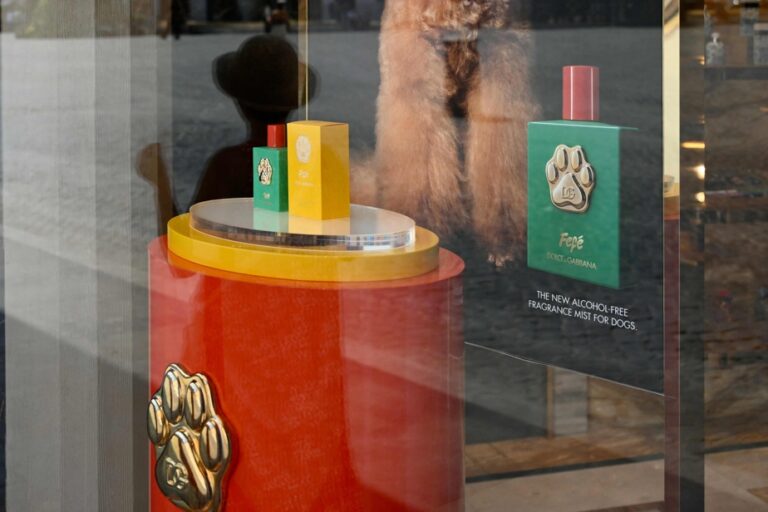 Dolce & Gabbana launches already controversial perfume for dogs