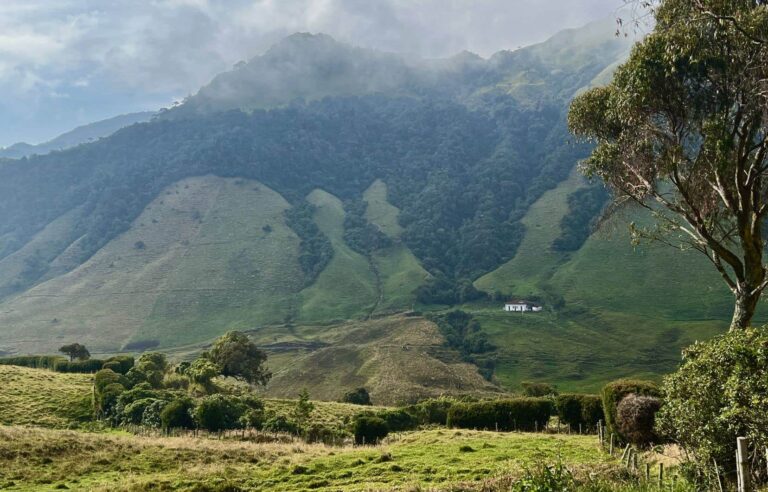 Eje Cafetero, the Colombian Coffee Triangle