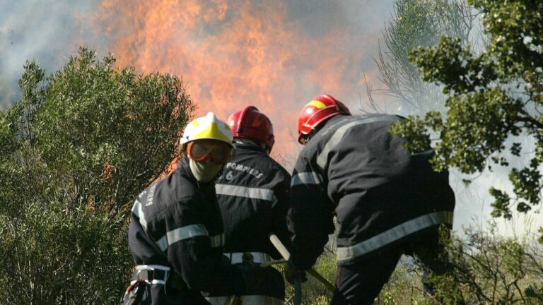 Faced with the risk of forest fires, more than 200 firefighters spread across the Pyrénées-Orientales, some from Slovakia