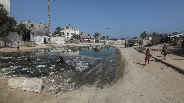 First confirmed polio case in Gaza in 25 years, UN calls for ‘humanitarian pauses’ to vaccinate children