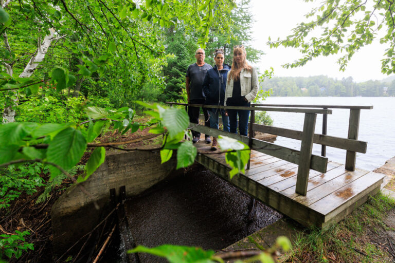 Forest cutting in Chertsey | Local residents on the lookout