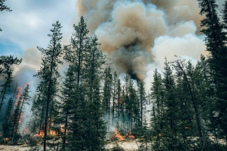 Greenhouse Gas Production | Canada’s Wildfires Among World’s Largest Emitters