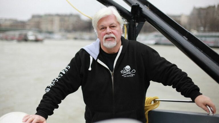 Greenlandic court extends detention of whale activist Paul Watson until September 5