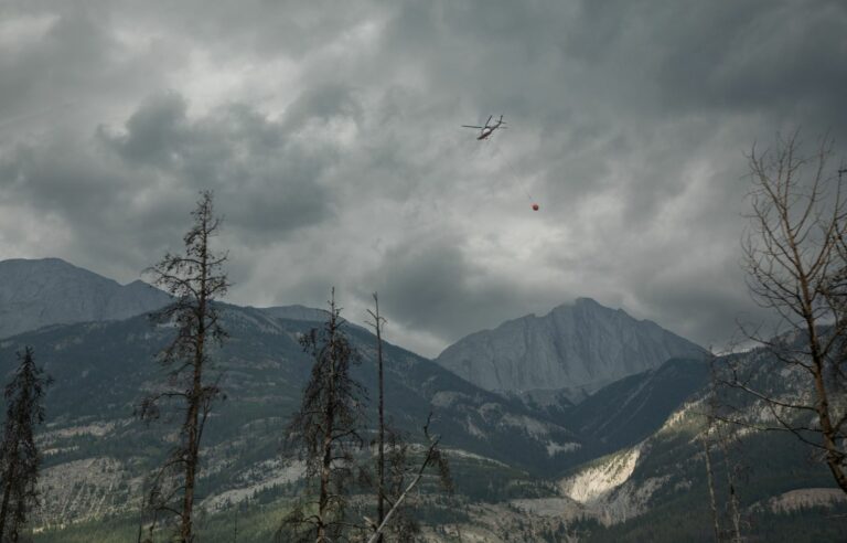 Heat and drought caused 2023 fire season, study finds