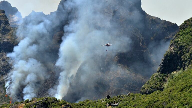 How the European Civil Protection Mechanism works, which Portugal is using