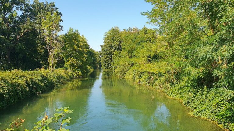 In Alsace, the rehabilitation of the Rhine-Rhône canal is not unanimous