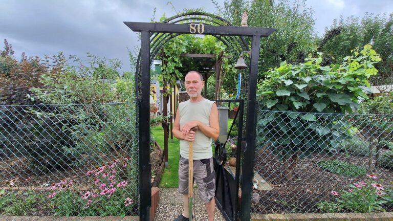 In Germany, allotment gardens are real institutions