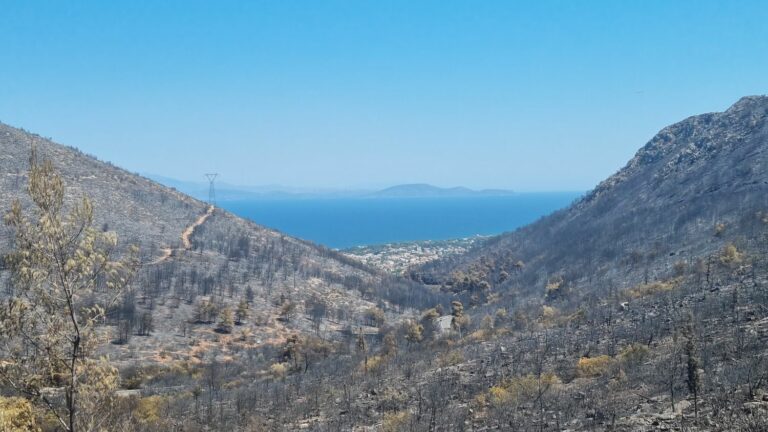 In Greece, fires ravaged vegetation near Marathon