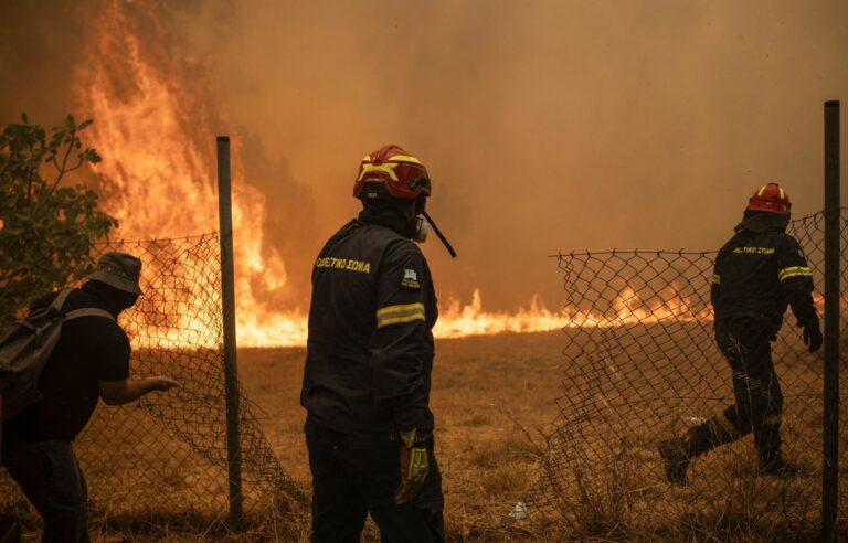 In Greece, the number of forest fires has increased by 50% compared to last summer