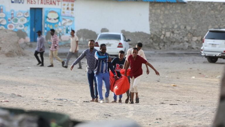 In Somalia, at least 32 dead in a suicide attack committed by the Islamist Shebabs