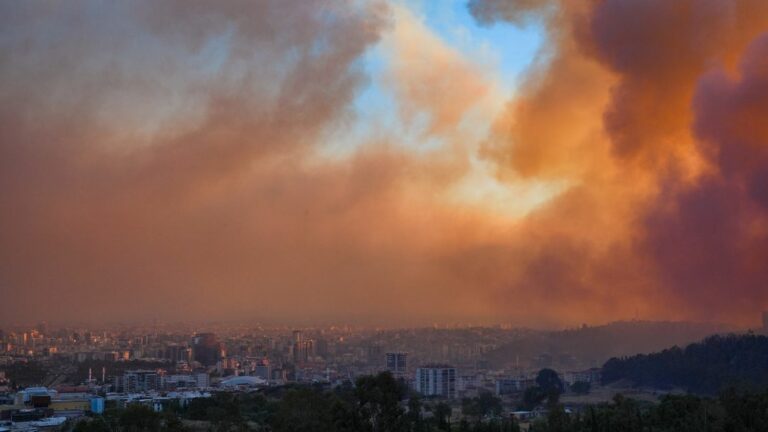 In Türkiye, a forest fire has reached residential areas of Izmir