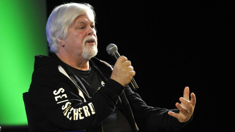 Japan asks Greenland to extradite anti-whaling activist Paul Watson