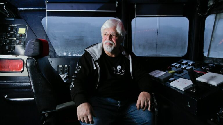 Japan seeks extradition of Sea Shepherd founder, brought before judge in Greenland