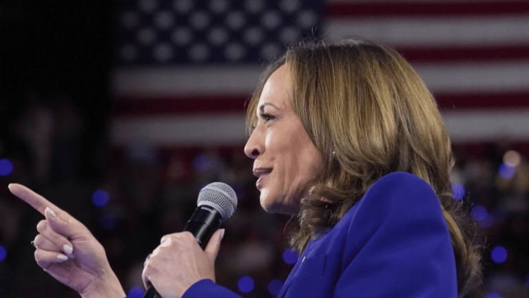 Kamala Harris unveils her program little by little